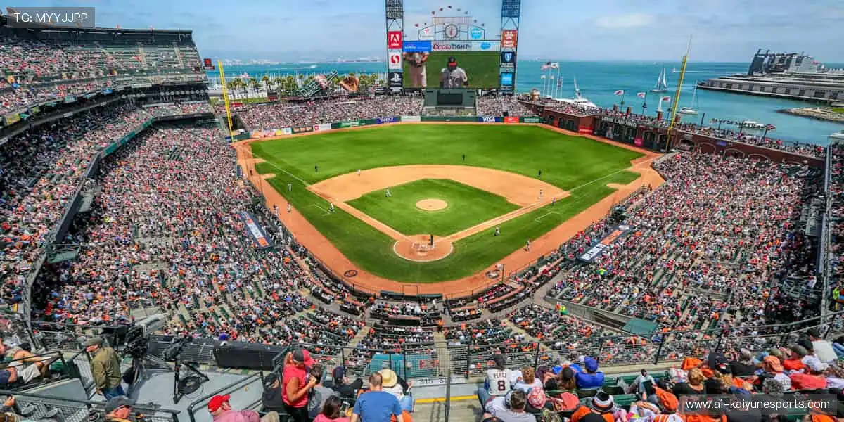 实时高清，仿佛置身比赛现场！🏀